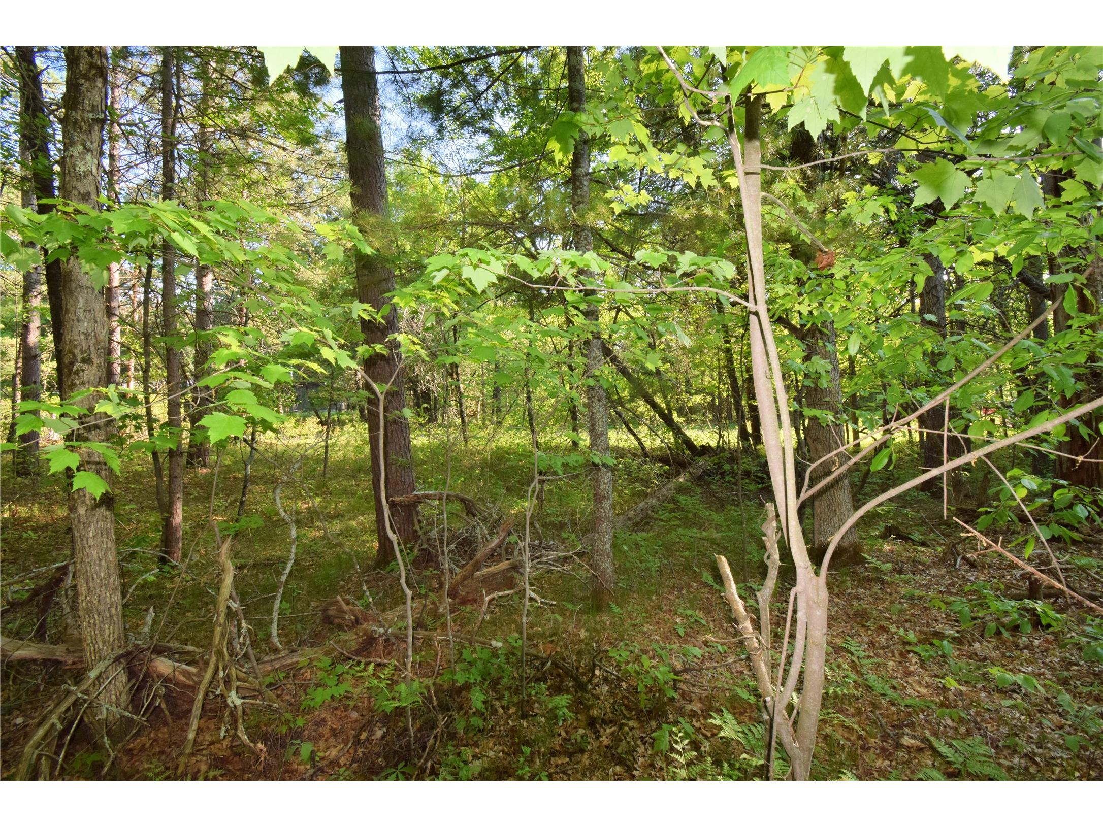 Lot 31 Setting Sun Trail Way Danbury WI 54830 1601782 image17
