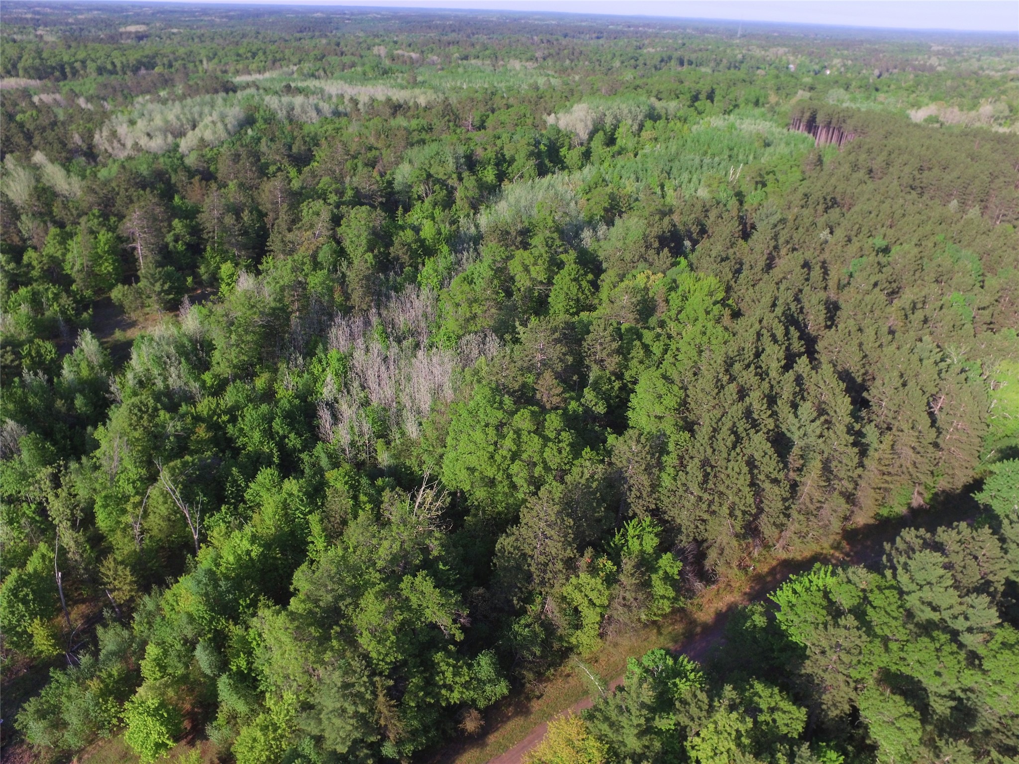 Lot 31 Setting Sun Trail Way Danbury WI 54830 1601782 image9