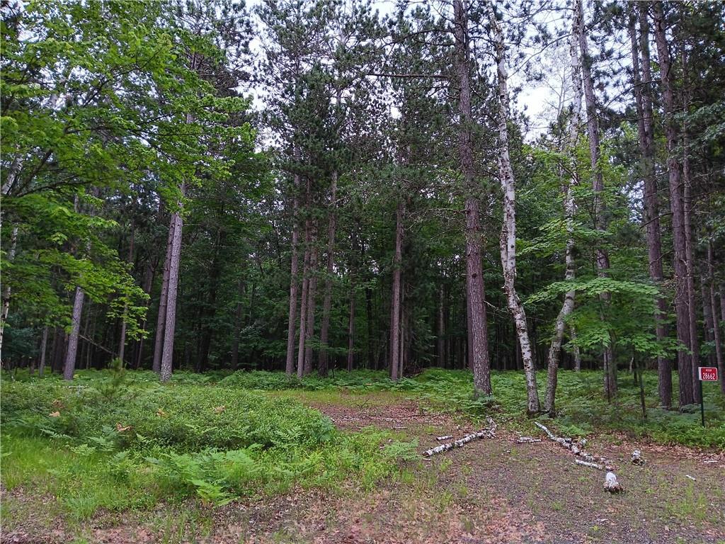 Lot 32 Great Bear Passage Danbury WI 54830 1579160 image1