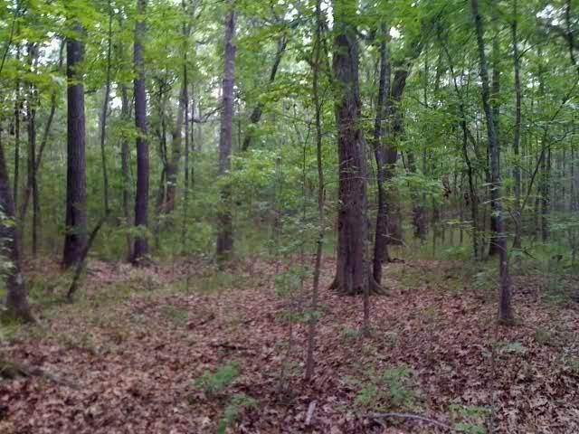 Lot 34 Half Moon Trail Danbury WI 54830 1575630 image12