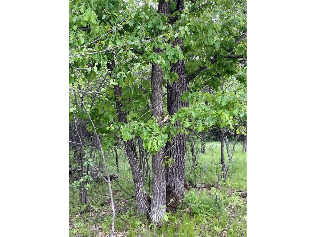 Lot 35 34th Avenue Chippewa Falls WI 54729 1565032 image7