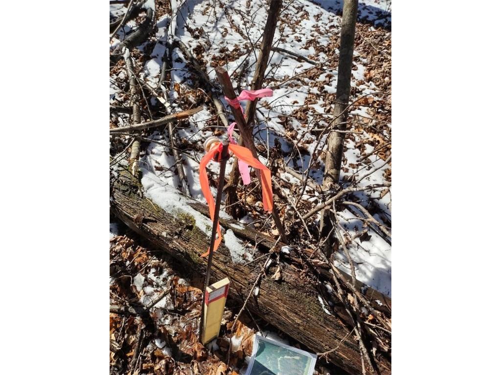 Lot 35 N4XX 297th Street Eau Galle WI 54737 1590160 image16