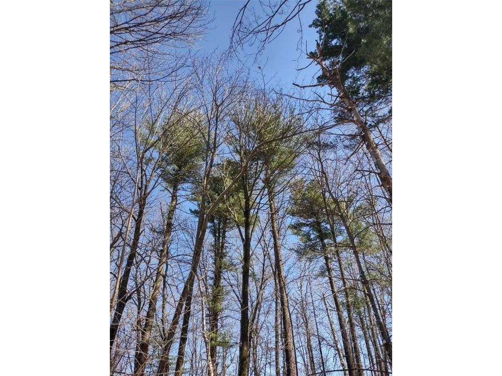 Lot 35 N4XX 297th Street Eau Galle WI 54737 1590160 image18