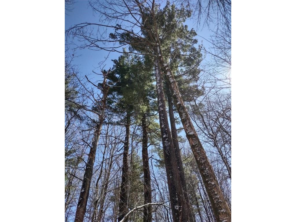 Lot 35 N4XX 297th Street Eau Galle WI 54737 1590160 image19