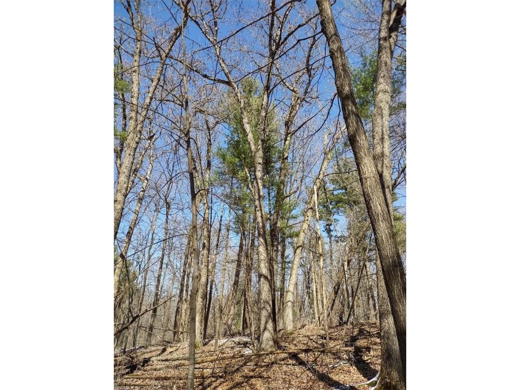 Lot 35 N4XX 297th Street Eau Galle WI 54737 1590160 image20