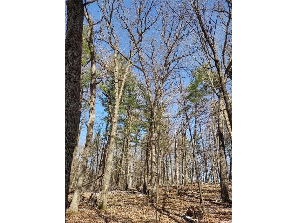 Lot 35 N4XX 297th Street Eau Galle WI 54737 1590160 image21