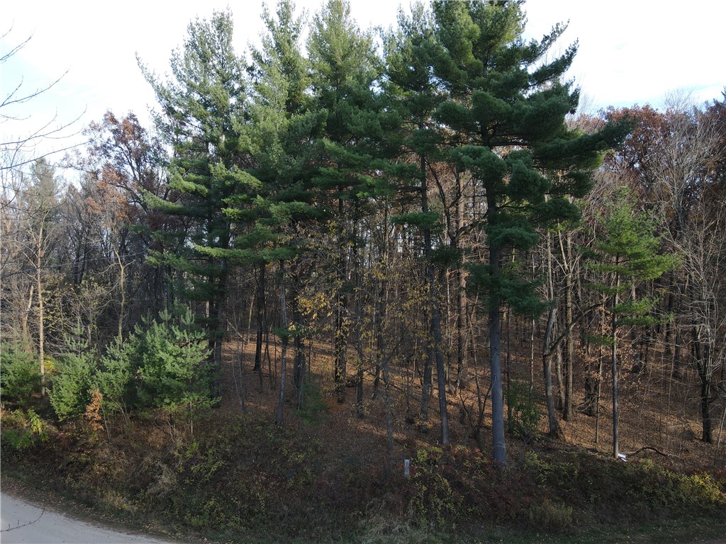 Lot 35 N4XX 297th Street Eau Galle WI 54737 1590160 image5