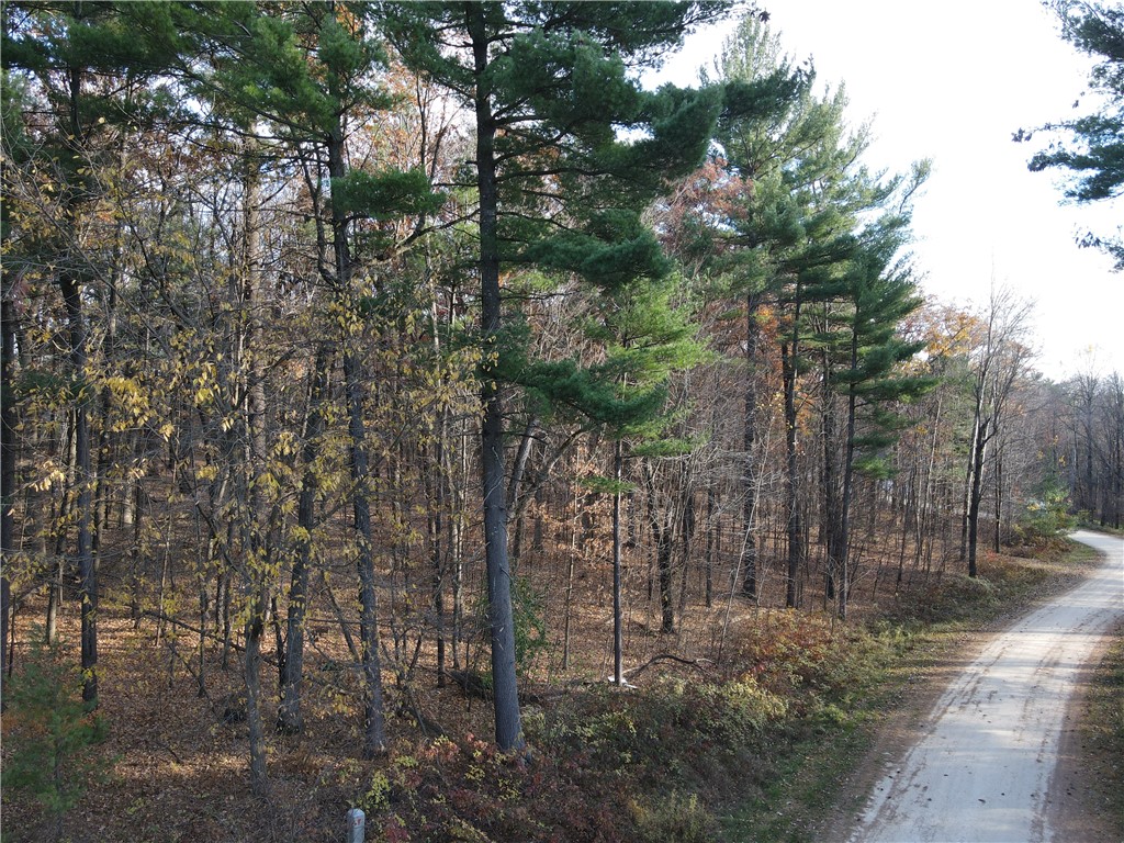 Lot 35 N4XX 297th Street Eau Galle WI 54737 1590160 image6