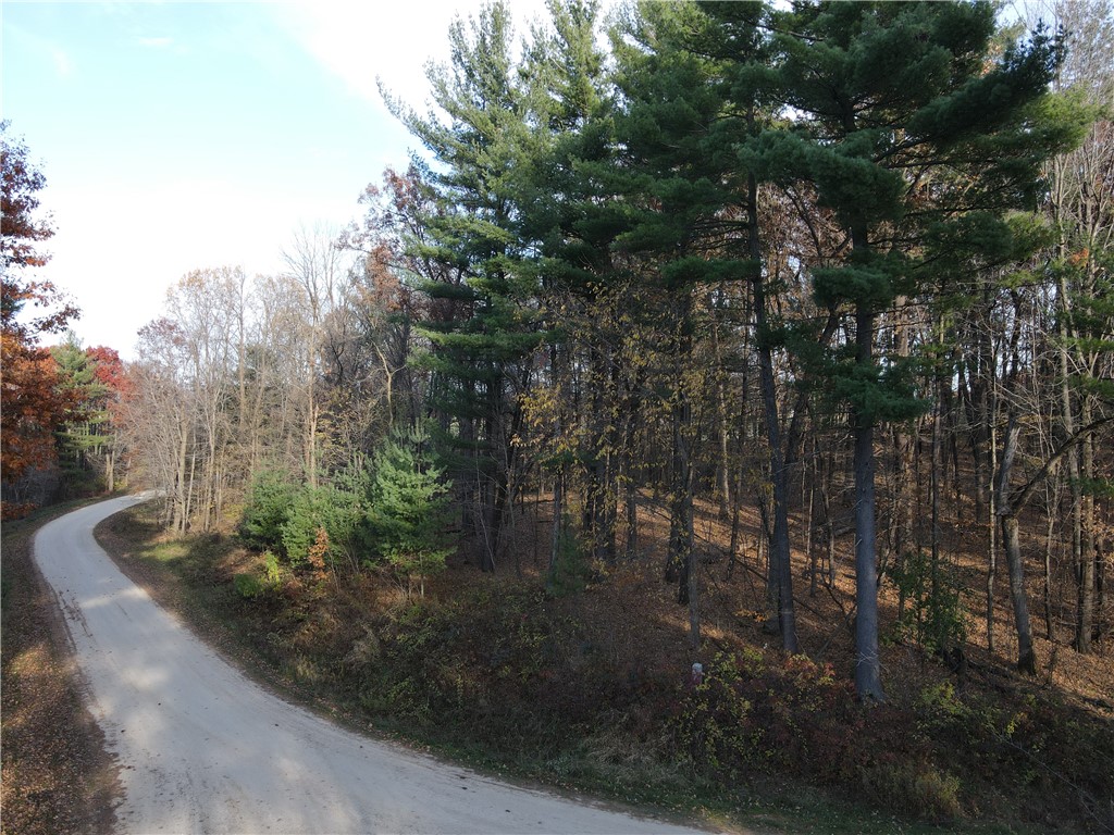 Lot 35 N4XX 297th Street Eau Galle WI 54737 1590160 image7