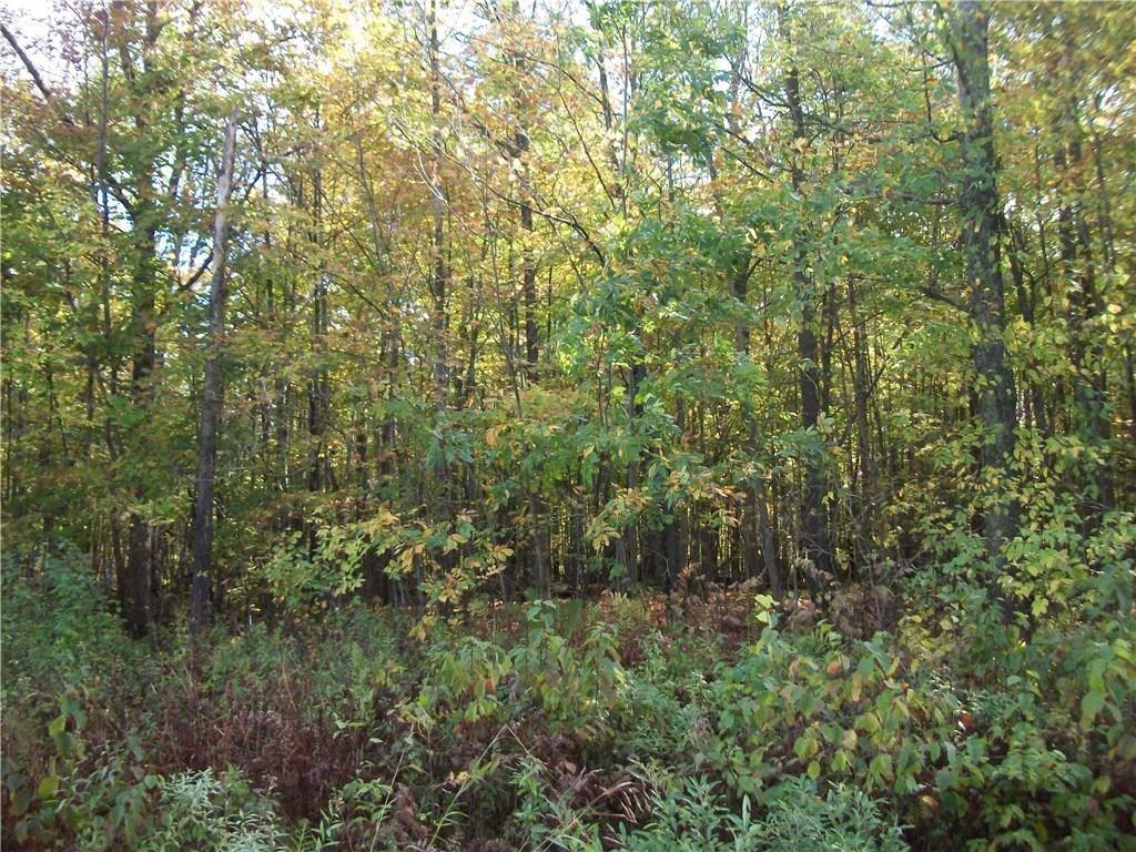 Lot 38 Loch Lomond, Birchwood, WI, 54817 MLS 1527886 Edina Realty