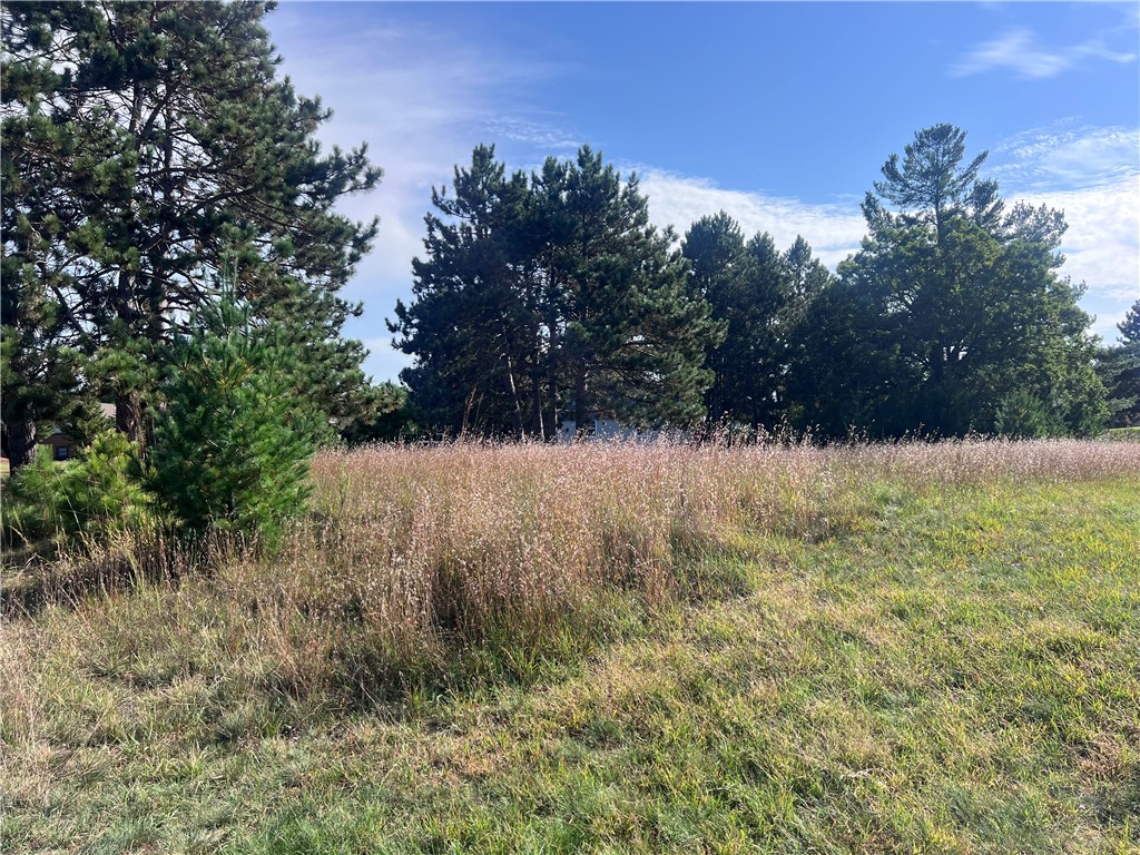 Lot 38 Meadow Green Road Danbury WI 54830 1596093 image8