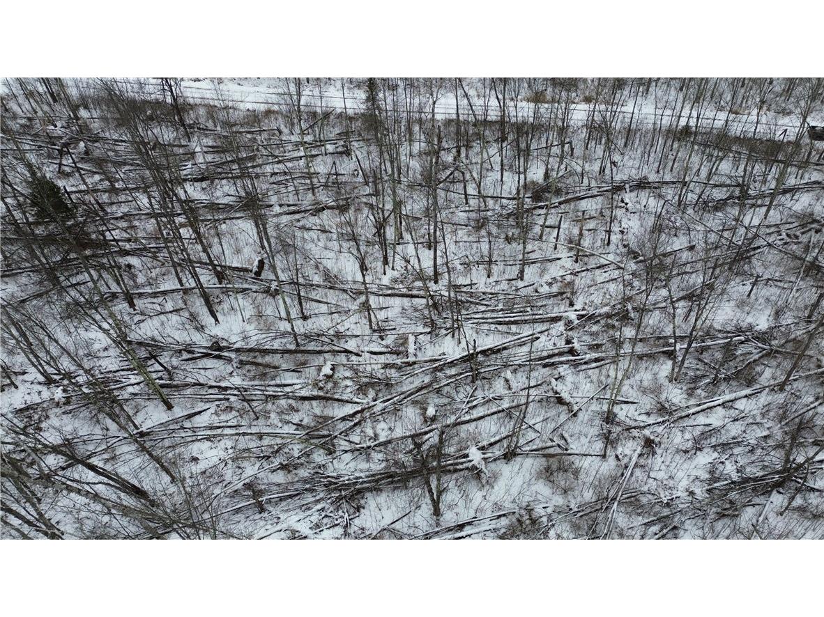 Lot 39 N Horse Creek Trail Ojibwa WI 54862 - Crazy Horse Creek 1588481 image15