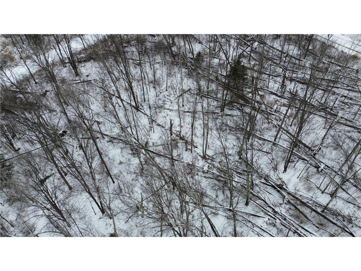 Lot 39 N Horse Creek Trail Ojibwa WI 54862 - Crazy Horse Creek 1588481 image16