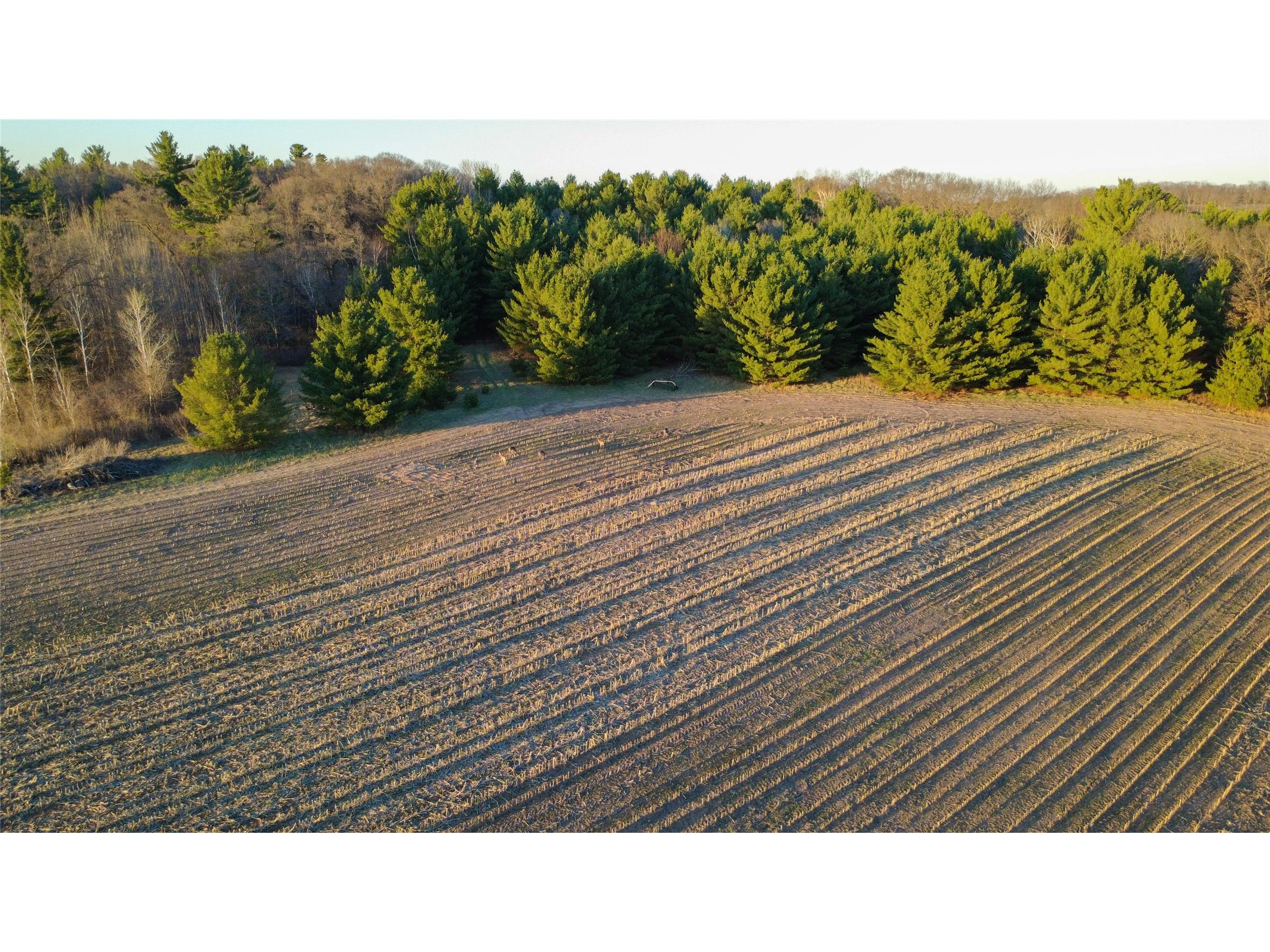 Lot 4 115th Street Frederic WI 54837 1601057 image11