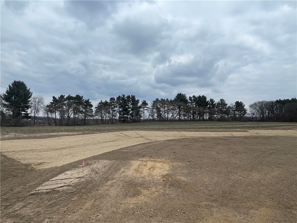 Lot #4 14th Avenue Elk Mound WI 54739 1590418 image1