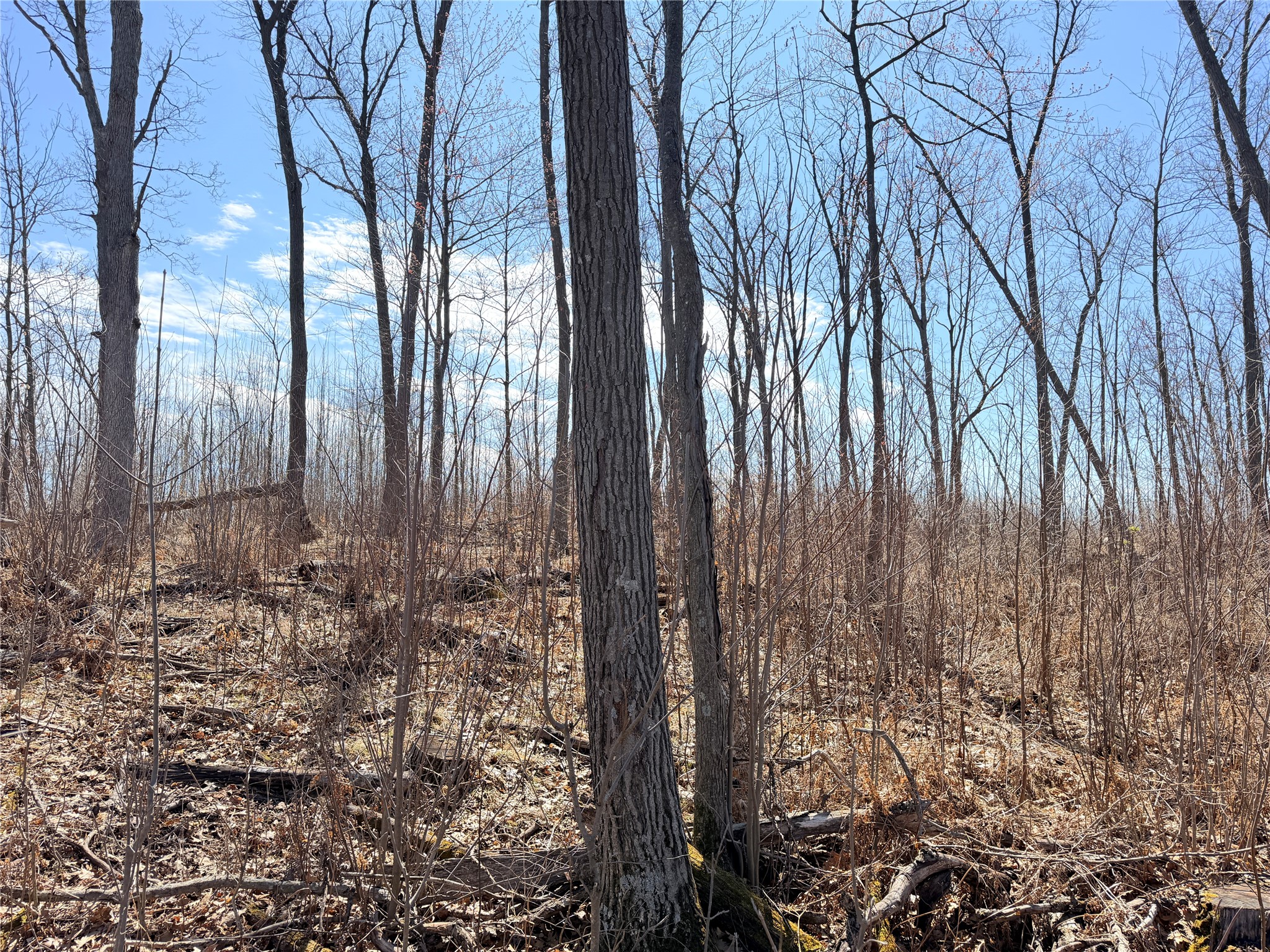 Lot 4 160th Avenue Turtle Lake WI 54889 - No name 1600130 image12