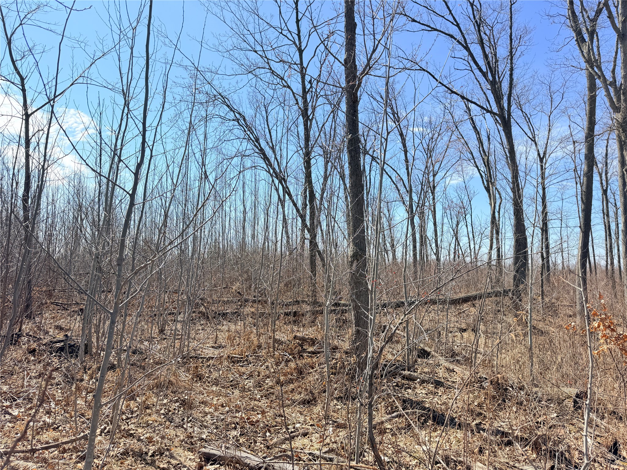 Lot 4 160th Avenue Turtle Lake WI 54889 - No name 1600130 image14