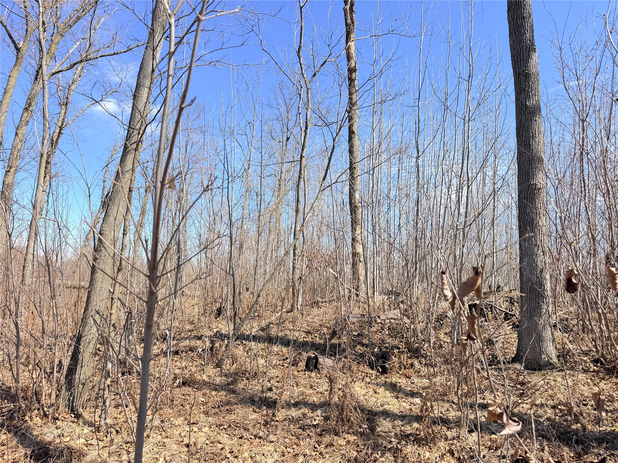Lot 4 160th Avenue Turtle Lake WI 54889 - No name 1600130 image16