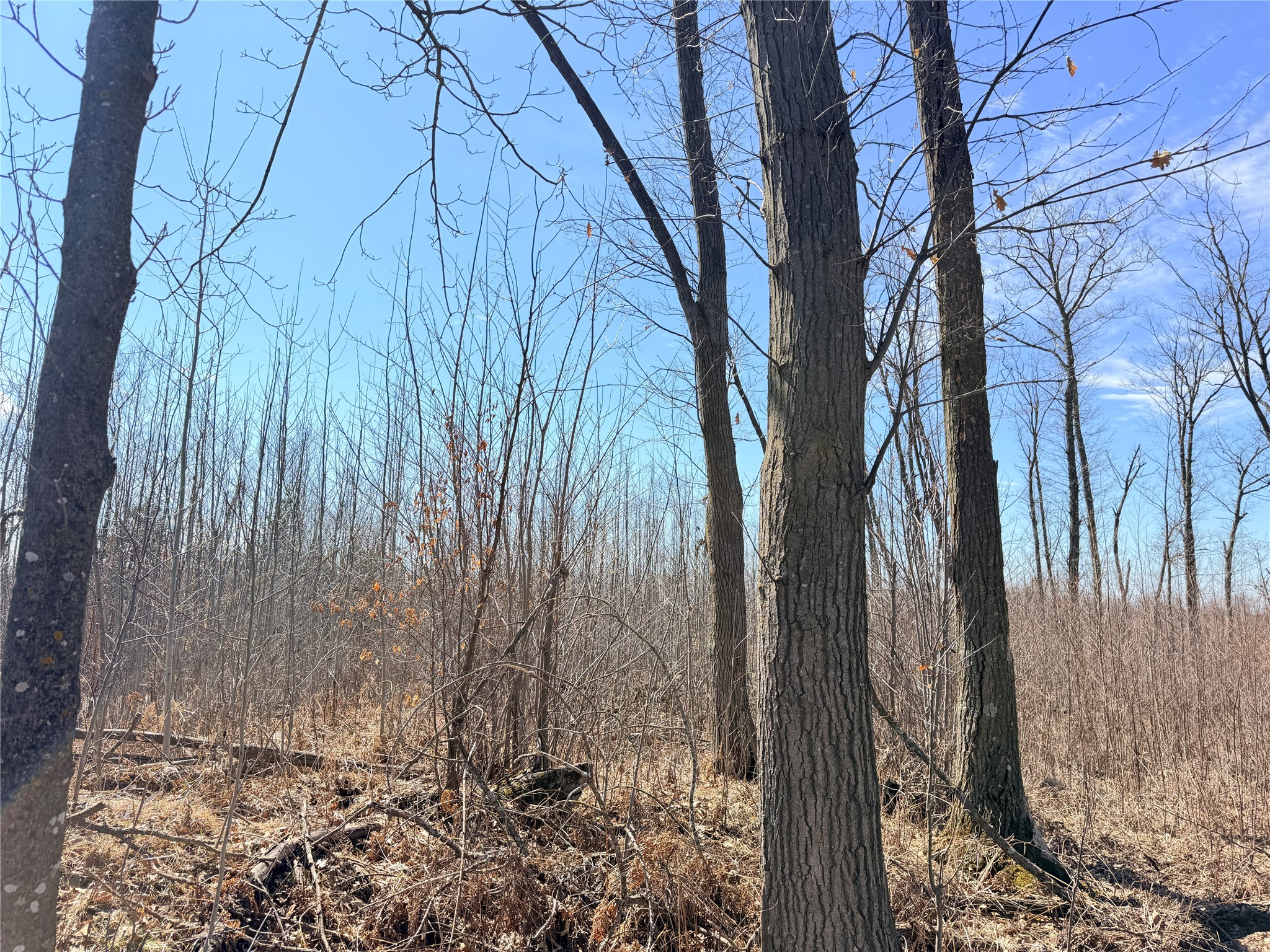 Lot 4 160th Avenue Turtle Lake WI 54889 - No name 1600130 image17