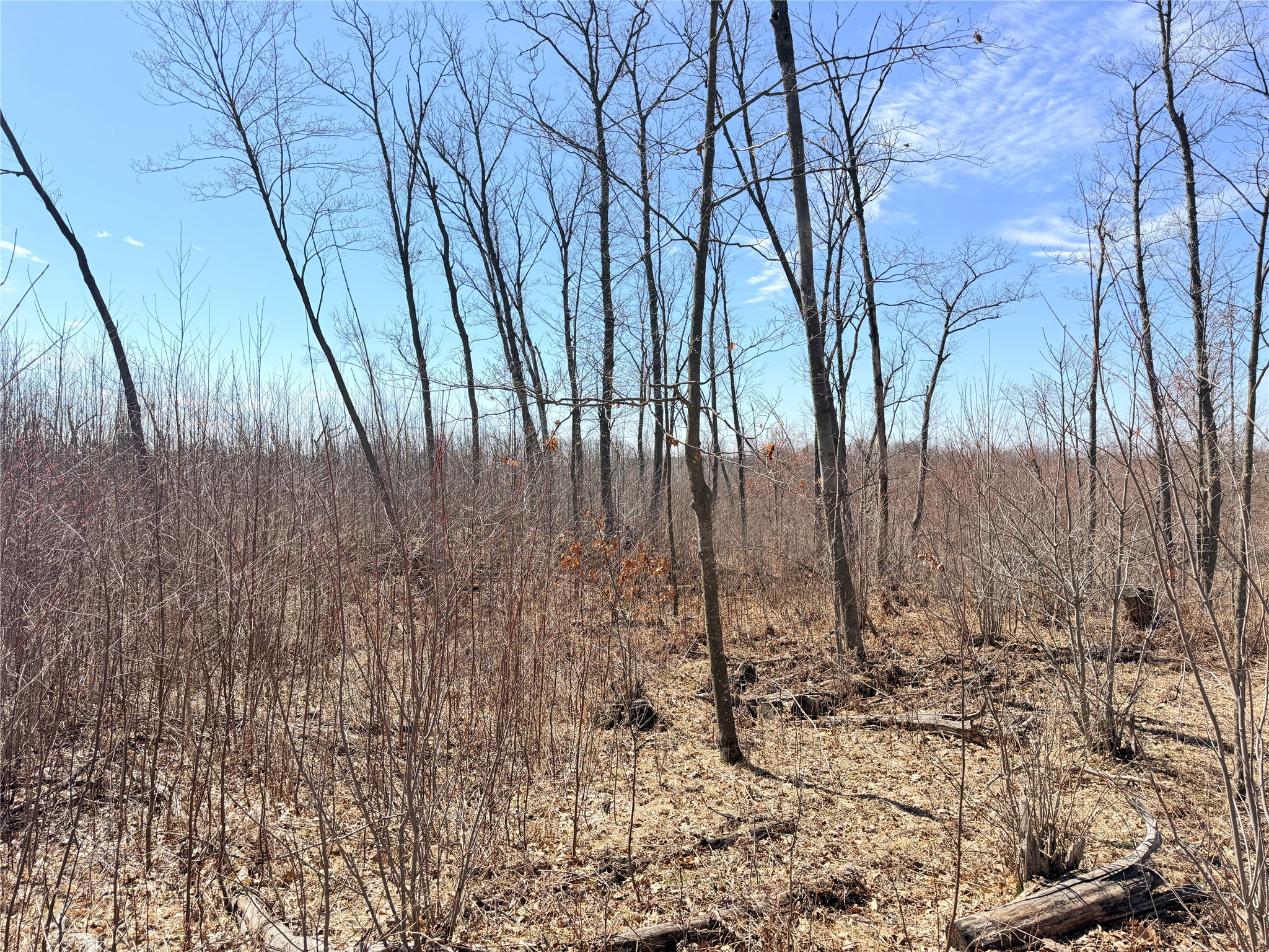 Lot 4 160th Avenue Turtle Lake WI 54889 - No name 1600130 image18