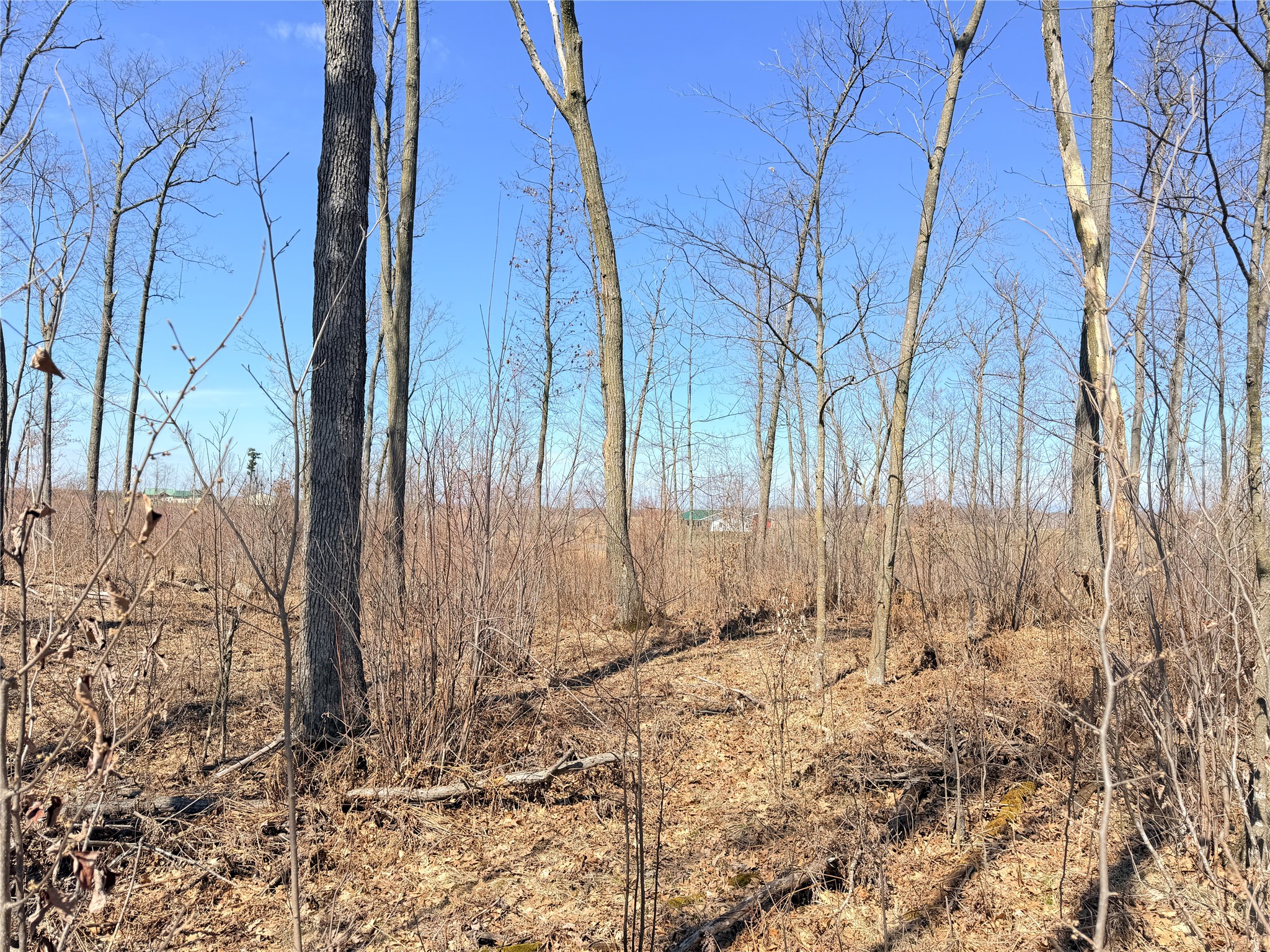 Lot 4 160th Avenue Turtle Lake WI 54889 - No name 1600130 image19