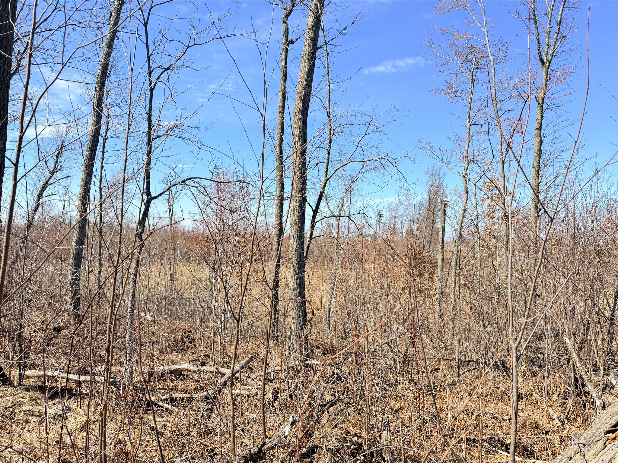 Lot 4 160th Avenue Turtle Lake WI 54889 - No name 1600130 image20