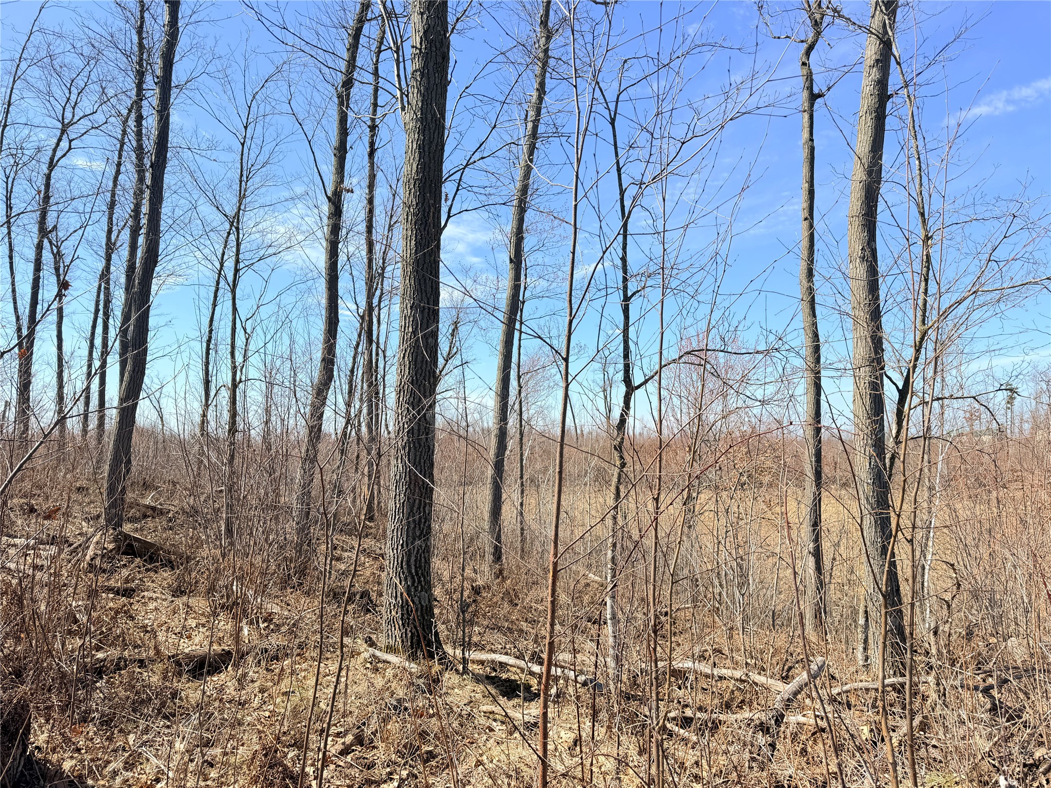 Lot 4 160th Avenue Turtle Lake WI 54889 - No name 1600130 image21