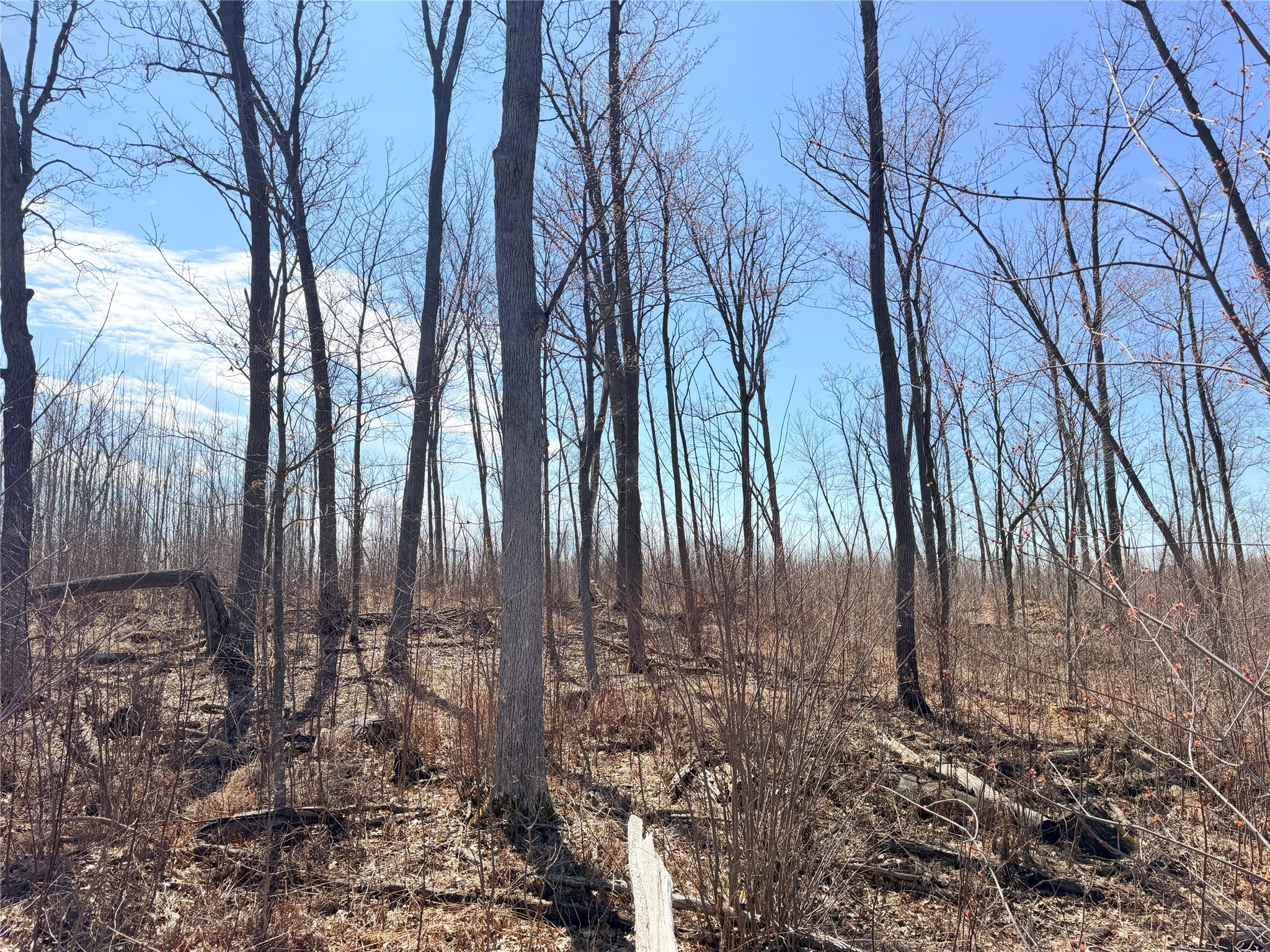 Lot 4 160th Avenue Turtle Lake WI 54889 - No name 1600130 image22