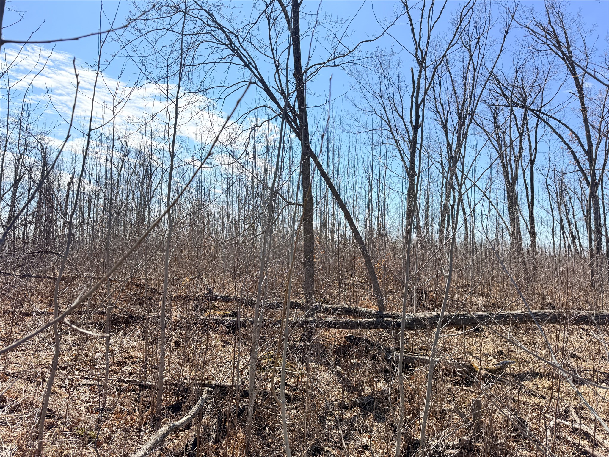 Lot 4 160th Avenue Turtle Lake WI 54889 - No name 1600130 image23