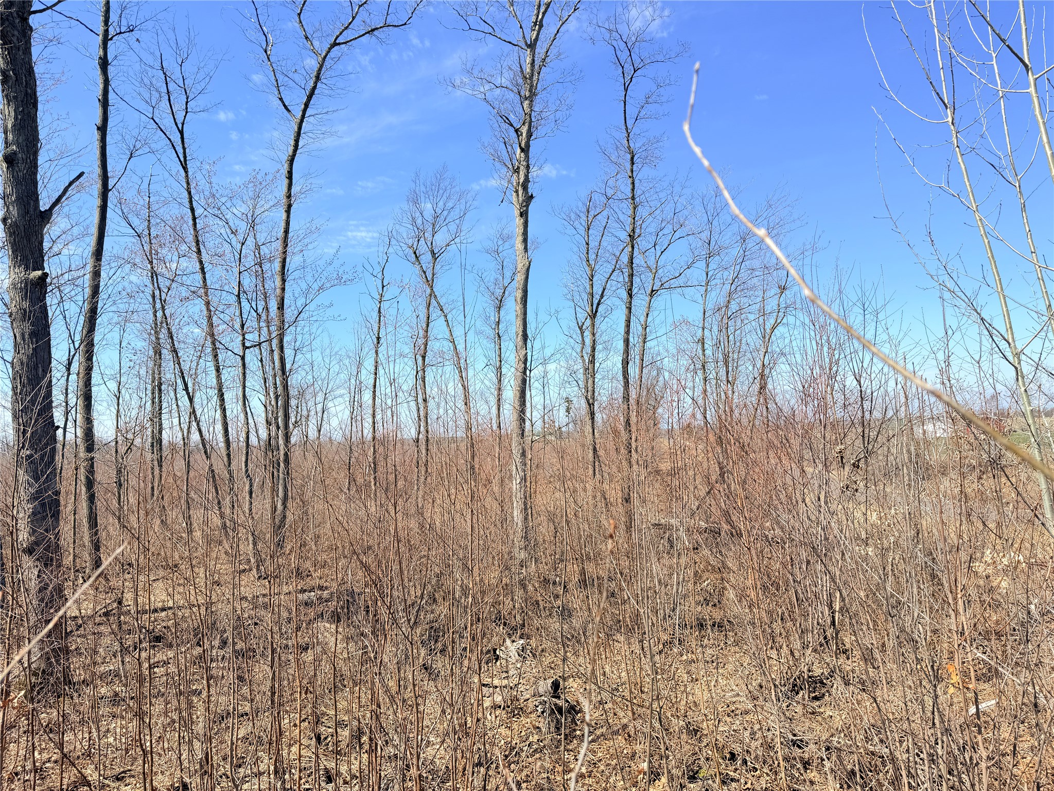 Lot 4 160th Avenue Turtle Lake WI 54889 - No name 1600130 image24