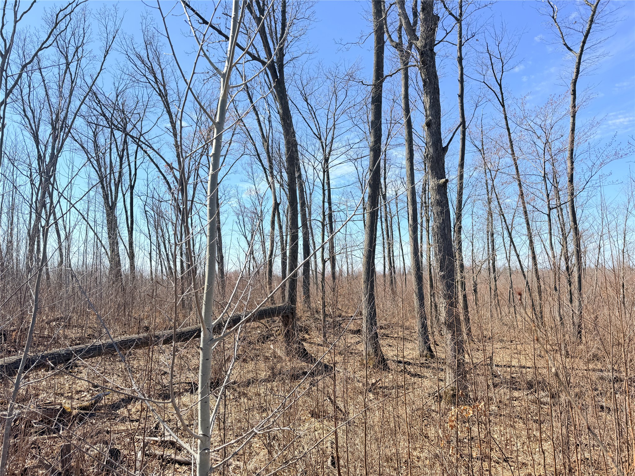 Lot 4 160th Avenue Turtle Lake WI 54889 - No name 1600130 image25