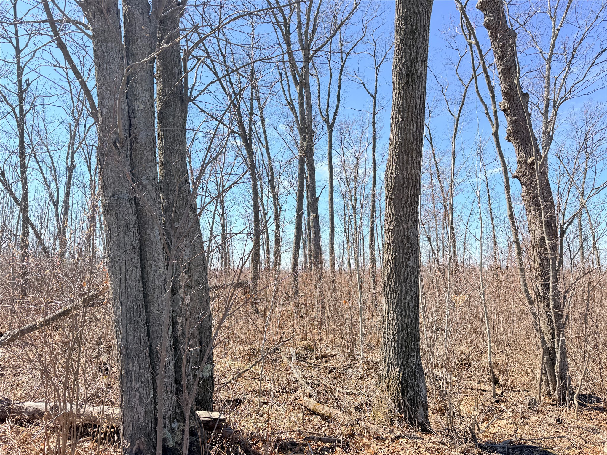 Lot 4 160th Avenue Turtle Lake WI 54889 - No name 1600130 image26