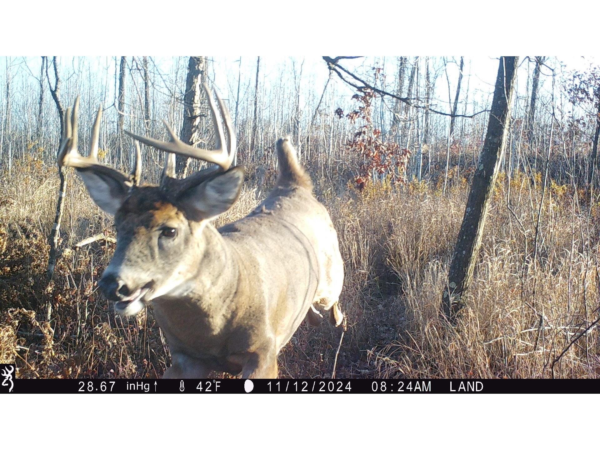 Lot 4 160th Avenue Turtle Lake WI 54889 - No name 1600130 image3
