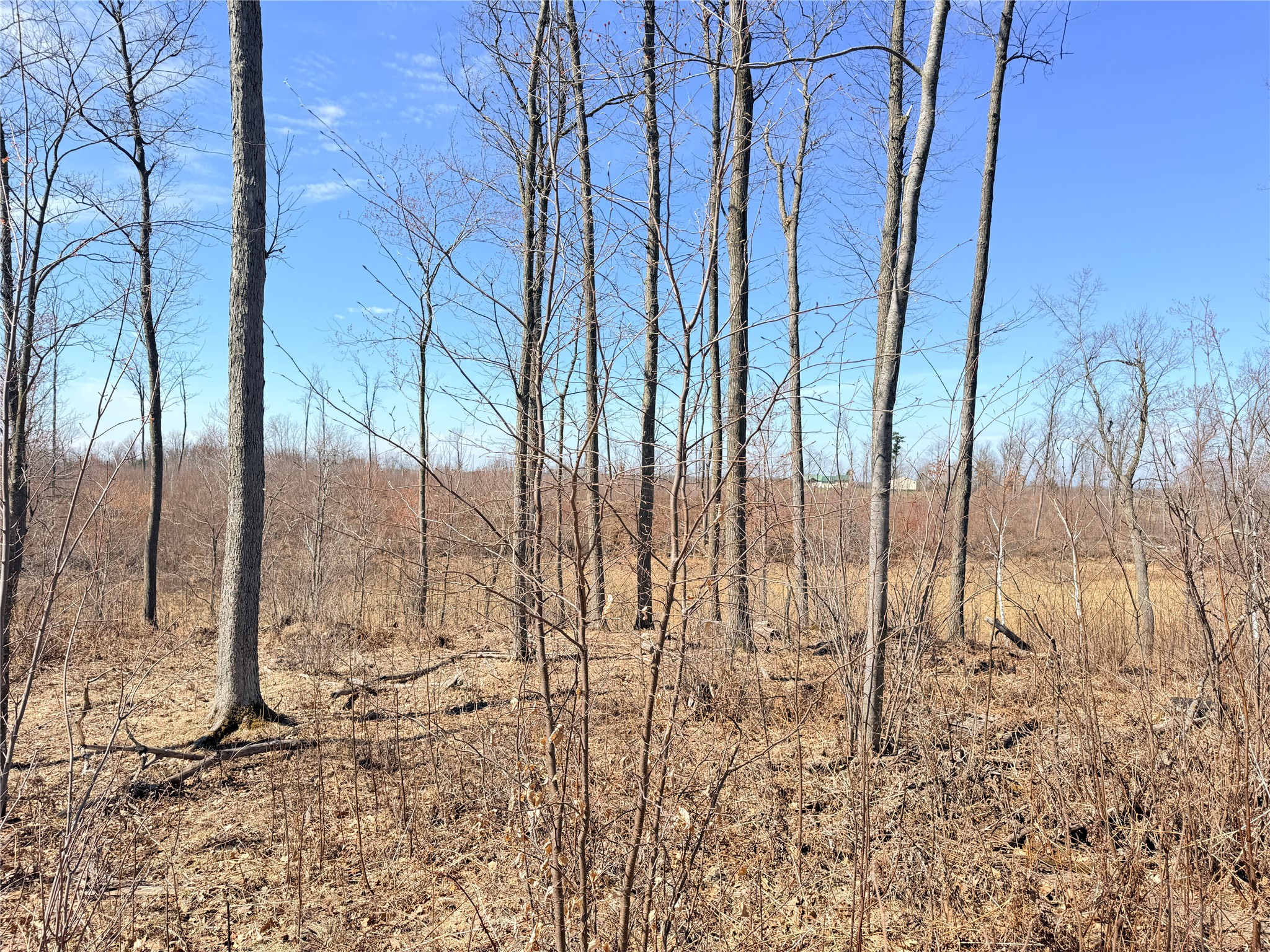 Lot 4 160th Avenue Turtle Lake WI 54889 - No name 1600130 image4