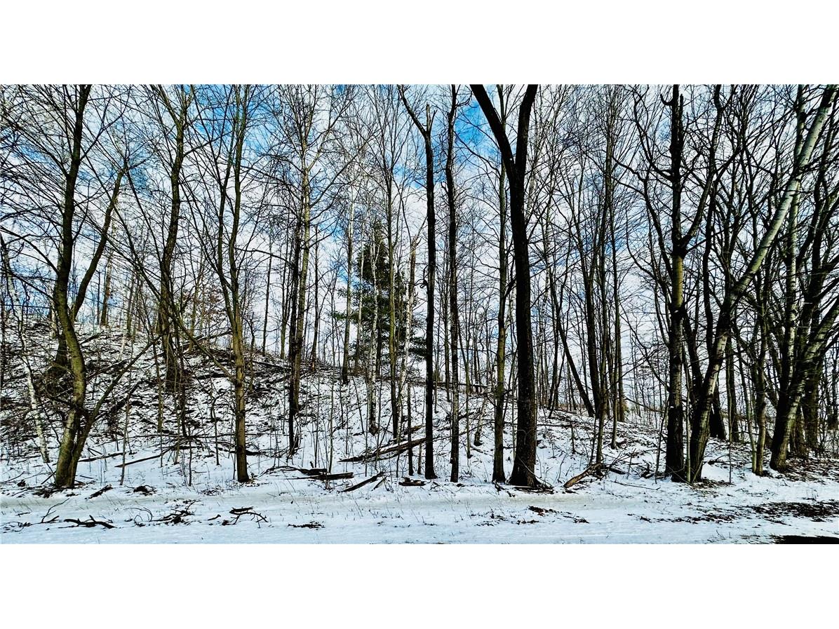 Lot 4 180th St/181st St Chippewa Falls WI 54729 1589794 image1