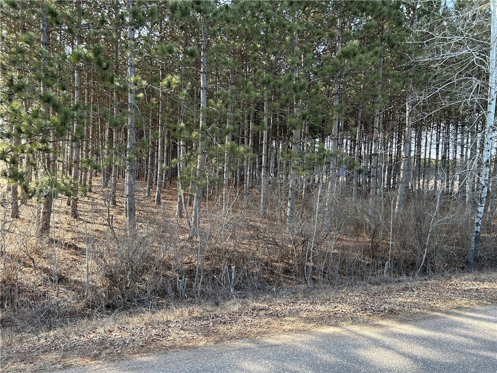 Lot 4 210th Street Cadott WI 54727 1589369 image1