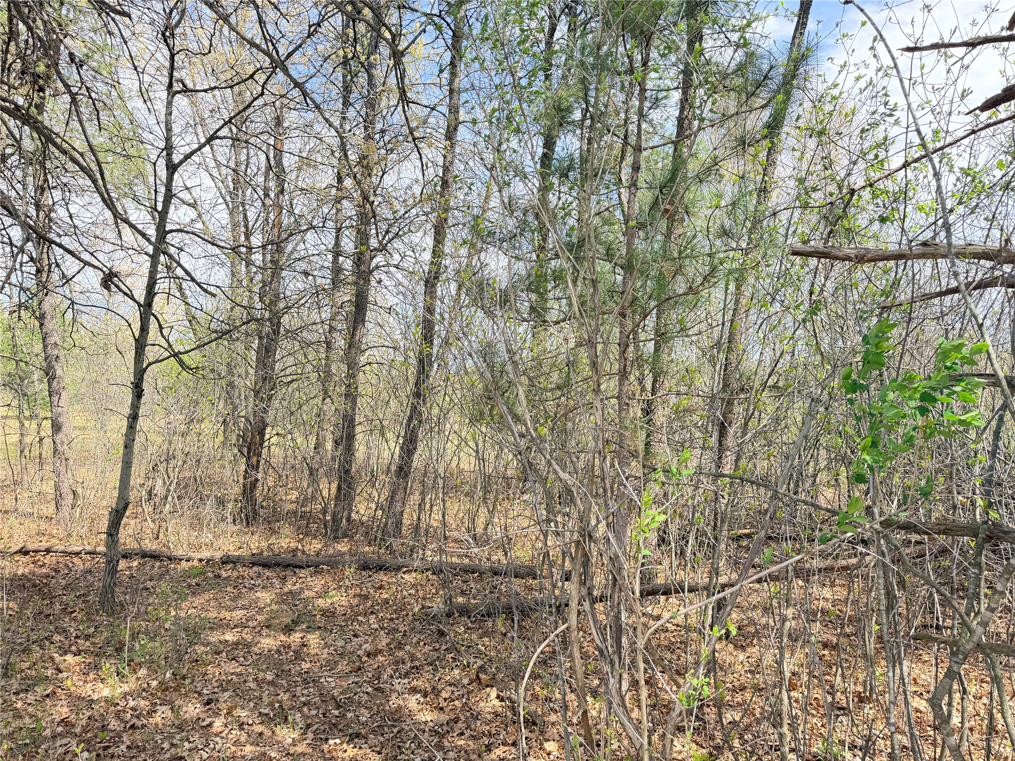 Lot 4 27th Court Chippewa Falls WI 54729 - Lake Hallie 1584277 image23