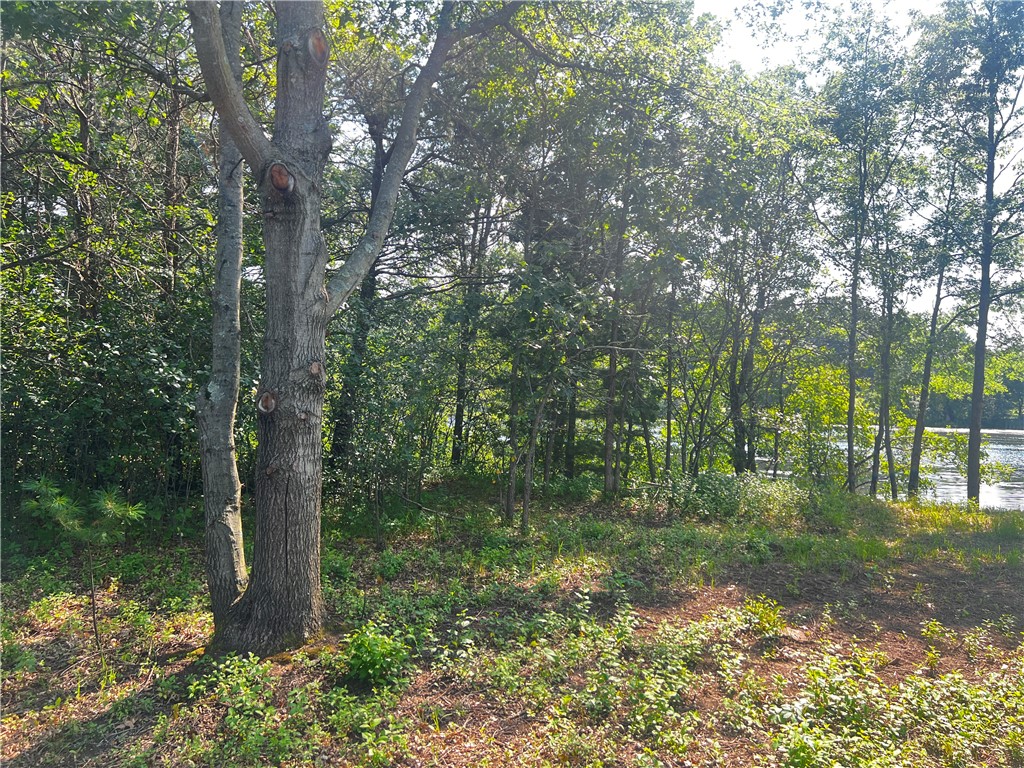 Lot 4 27th Court Chippewa Falls WI 54729 - Lake Hallie 1584277 image6