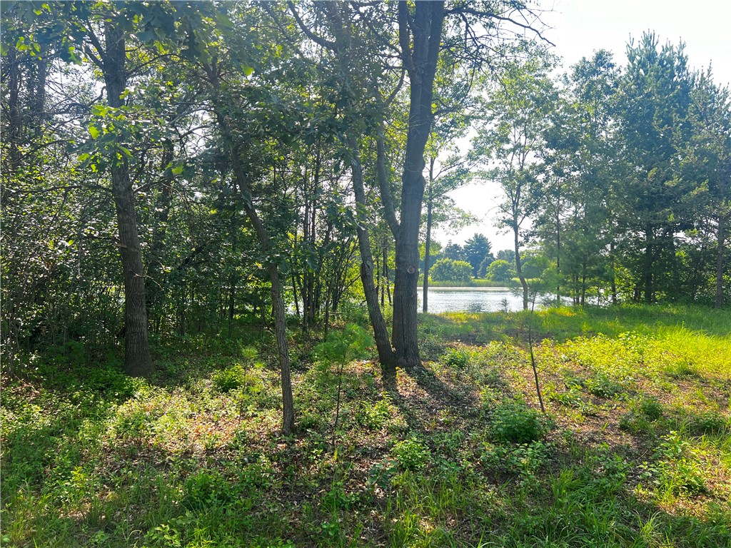 Lot 4 27th Court Chippewa Falls WI 54729 - Lake Hallie 1584277 image8