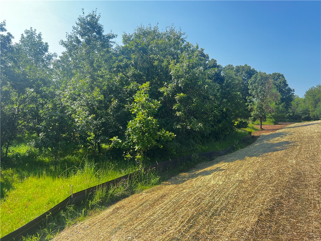 Lot 4 27th Court Chippewa Falls WI 54729 - Lake Hallie 1584277 image9