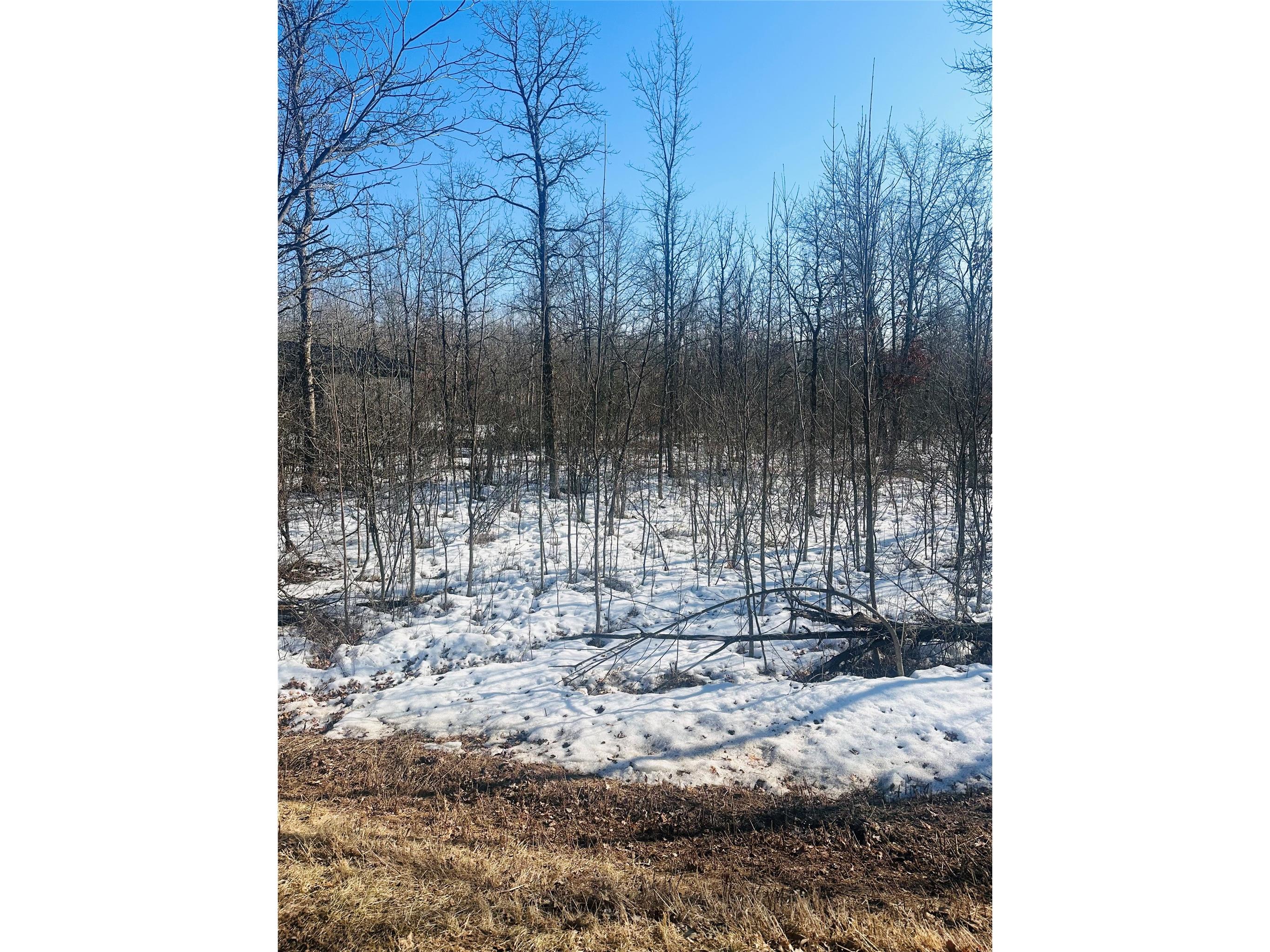Lot 4 28 1/2 Avenue Birchwood WI 54817 - Red Cedar 1599125 image3