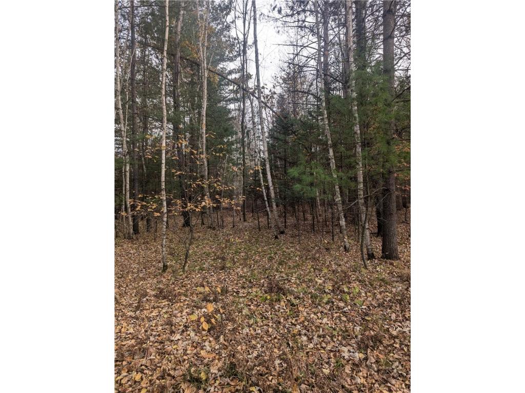 Lot 4 297th Avenue Holcombe WI 54745 1596837 image3