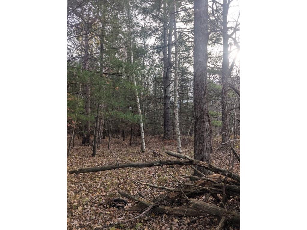 Lot 4 297th Avenue Holcombe WI 54745 1596837 image4