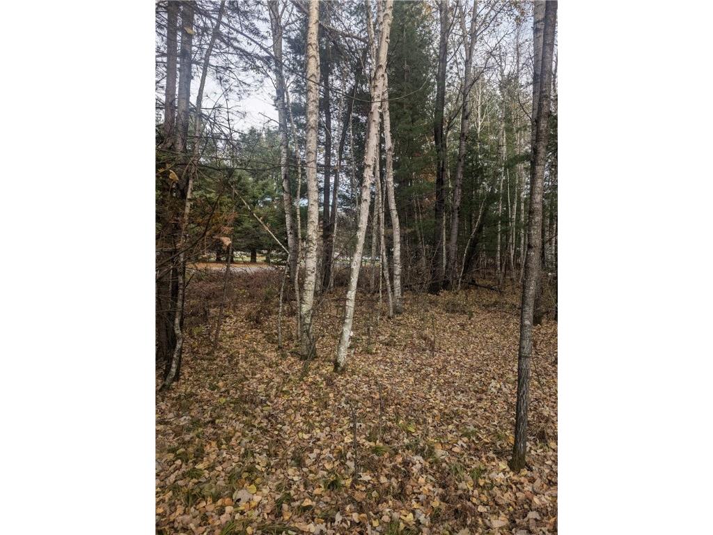 Lot 4 297th Avenue Holcombe WI 54745 1596837 image5