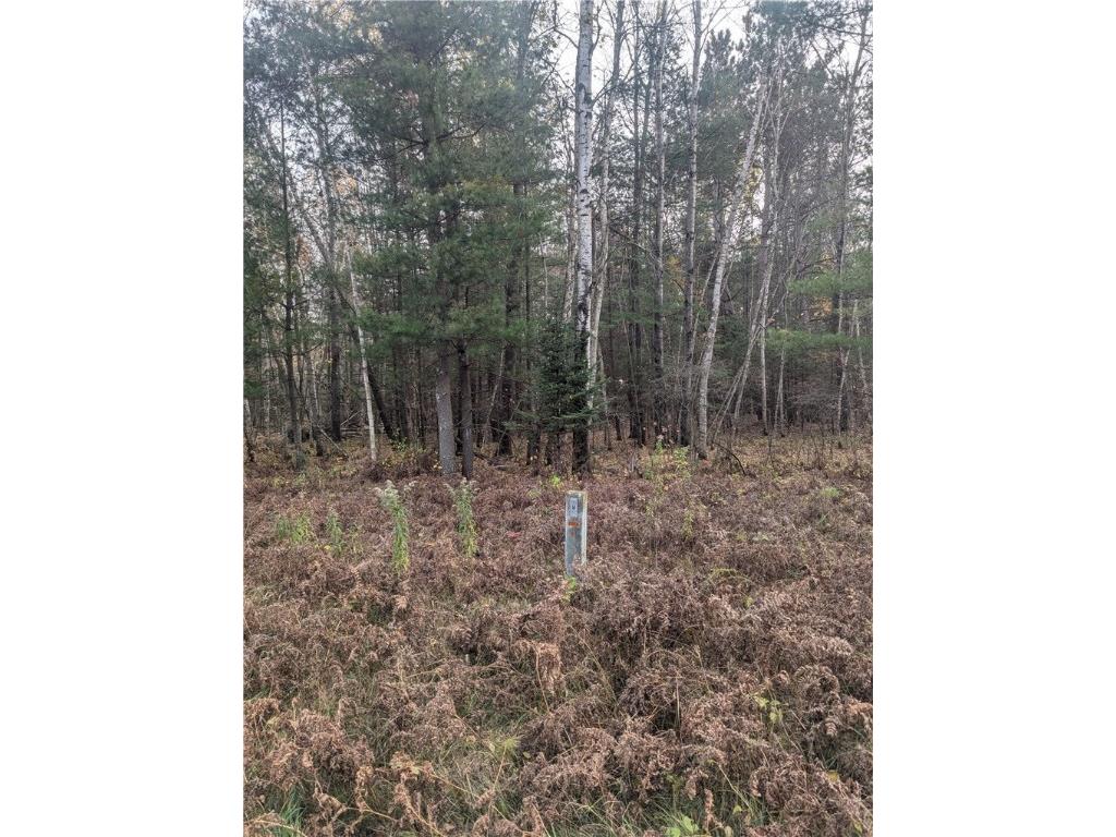Lot 4 297th Avenue Holcombe WI 54745 1596837 image6