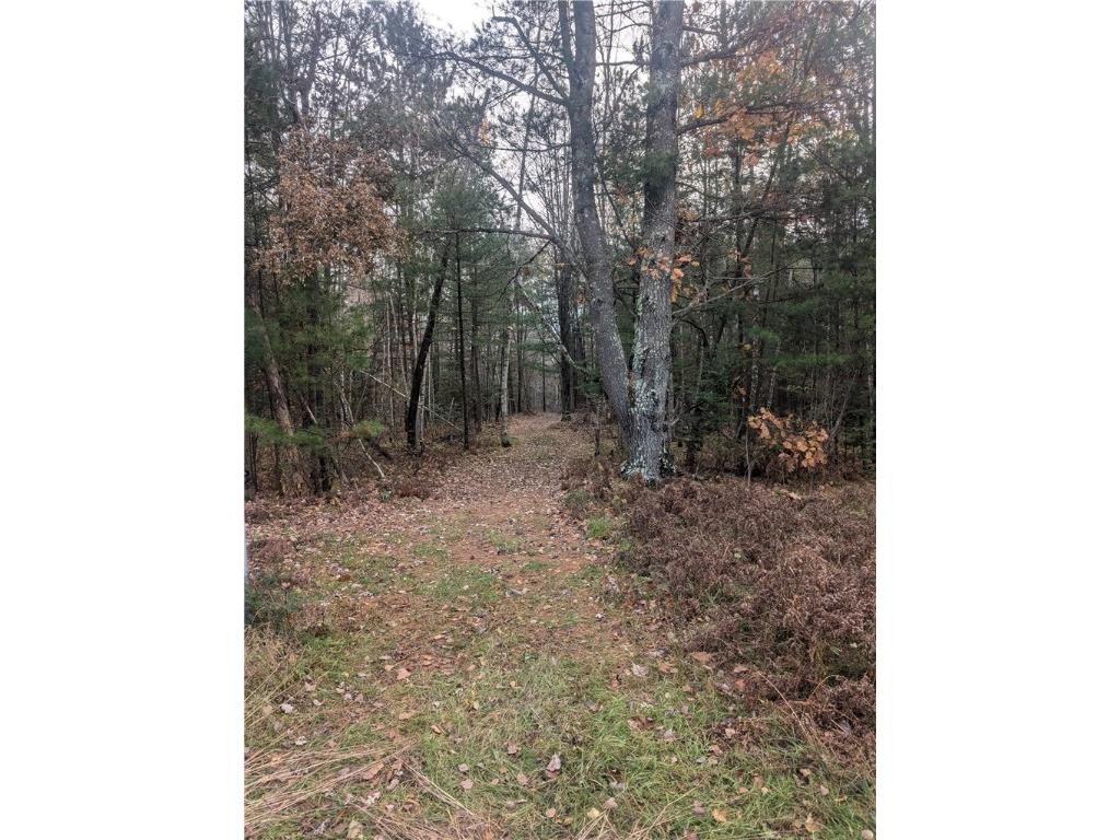 Lot 4 297th Avenue Holcombe WI 54745 1596837 image7