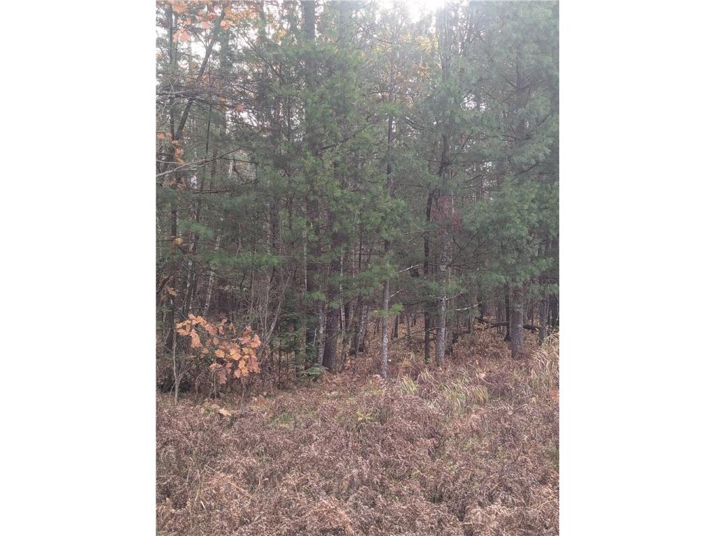 Lot 4 297th Avenue Holcombe WI 54745 1596837 image8