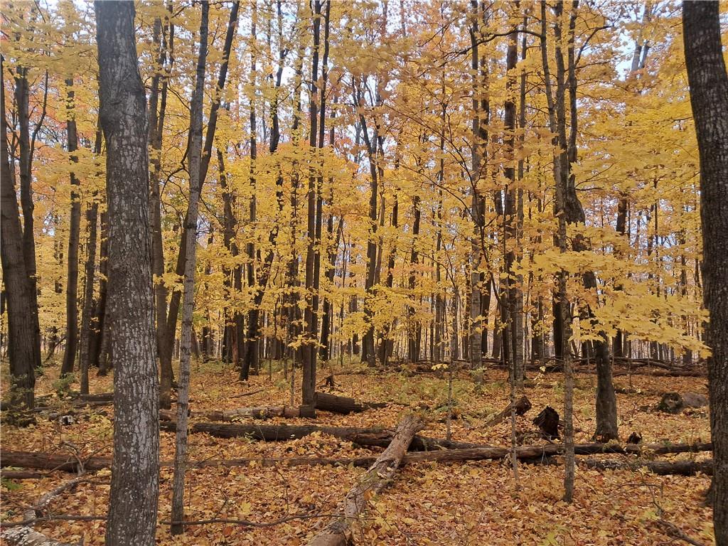 Lot 4 310th Avenue Frederic WI 54837 1586902 image1