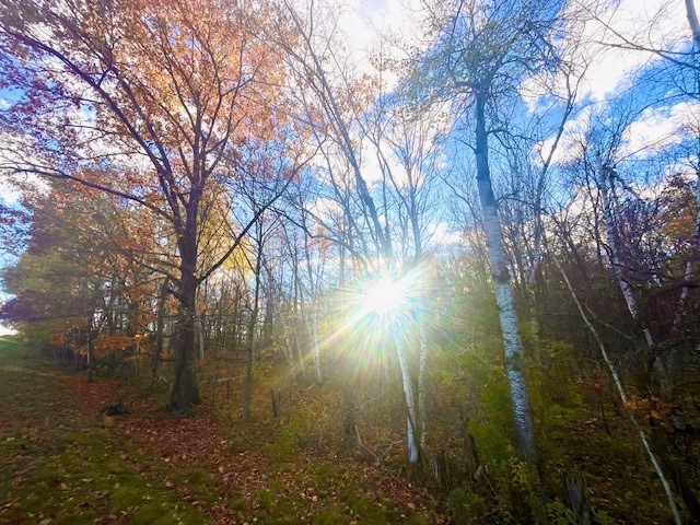 Lot 4 320th Street Clear Lake WI 54005 1597381 image1