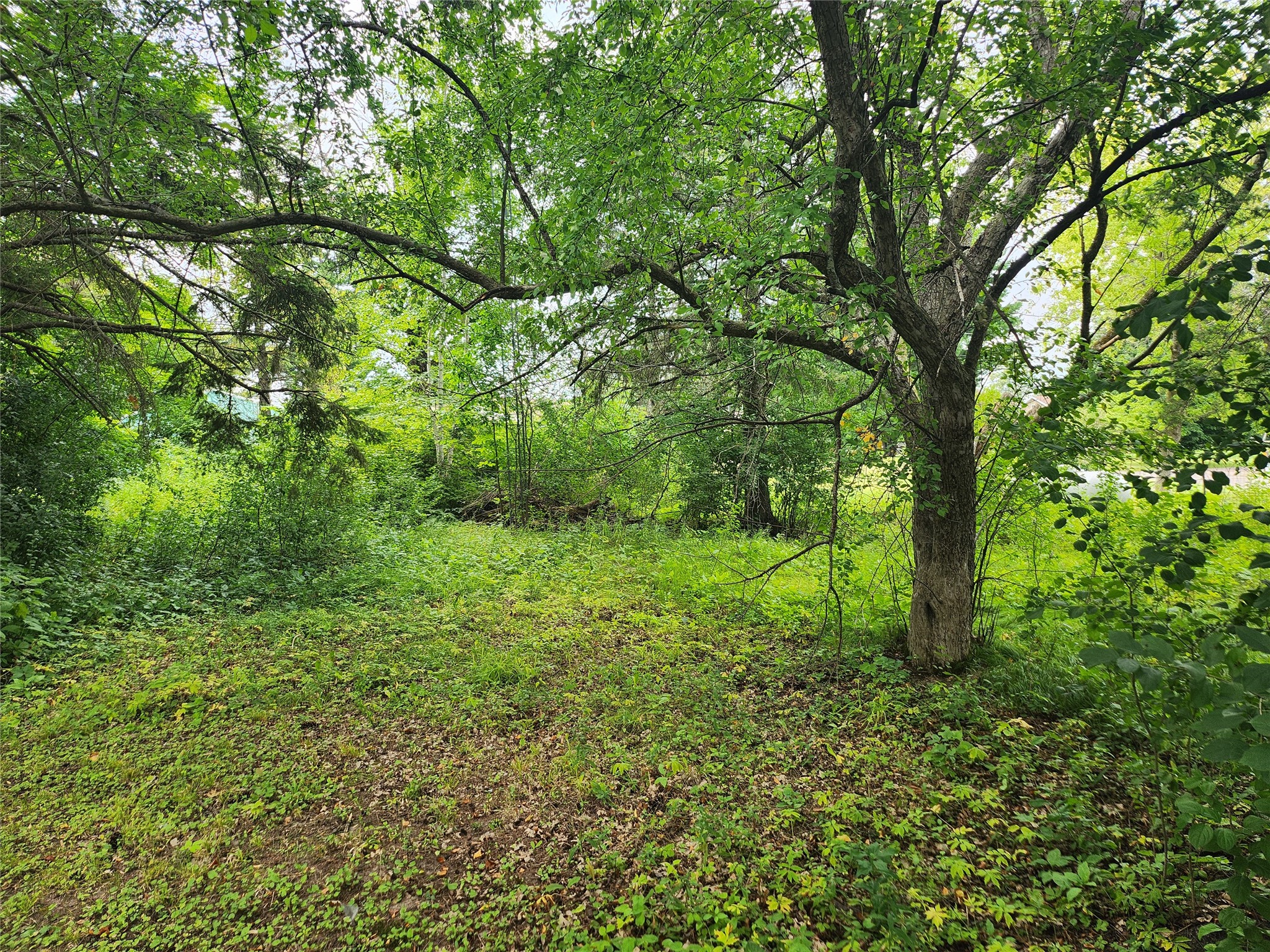 Lot 4 & 5 Main St Street Birchwood WI 54817 1603574 image1